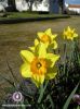portugal2.jpg